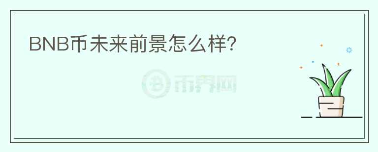 BNB币未来前景怎么样?