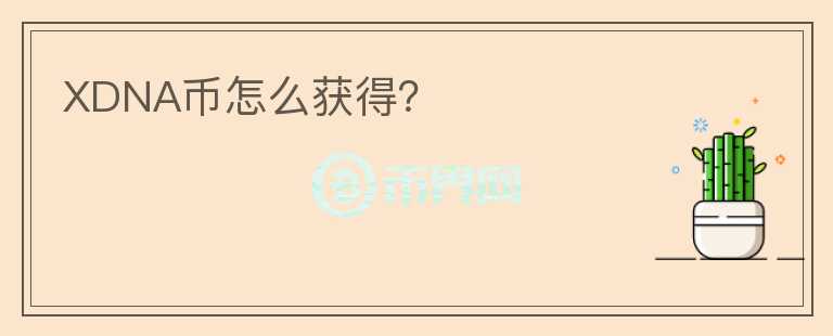 XDNA币怎么获得？
