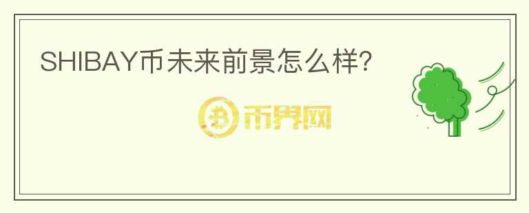 SHIBAY币未来前景怎么样？