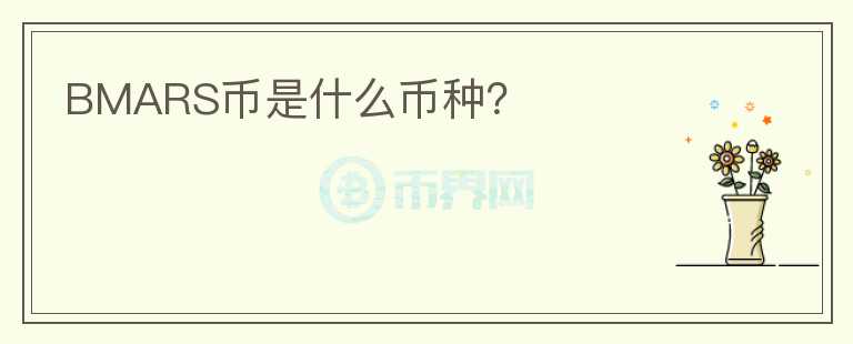 BMARS币是什么币种？