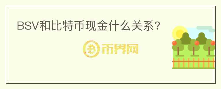 BSV和比特币现金什么关系?