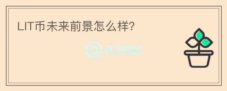 LIT币未来前景怎么样？