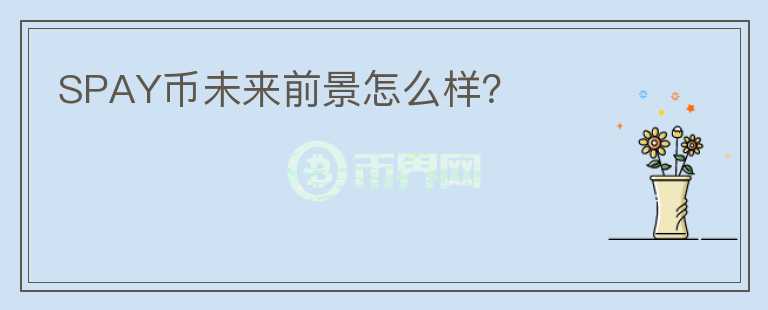 SPAY币未来前景怎么样？
