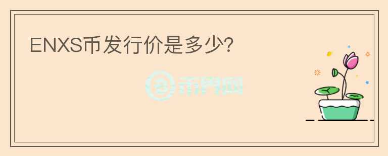 ENXS币发行价是多少？