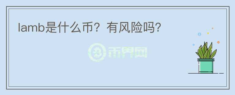 lamb是什么币？有风险吗？