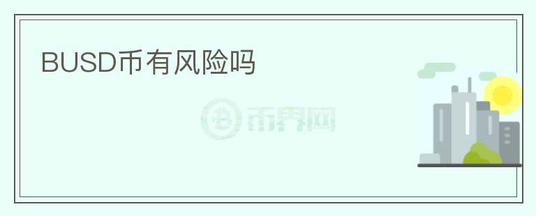 BUSD币有风险吗