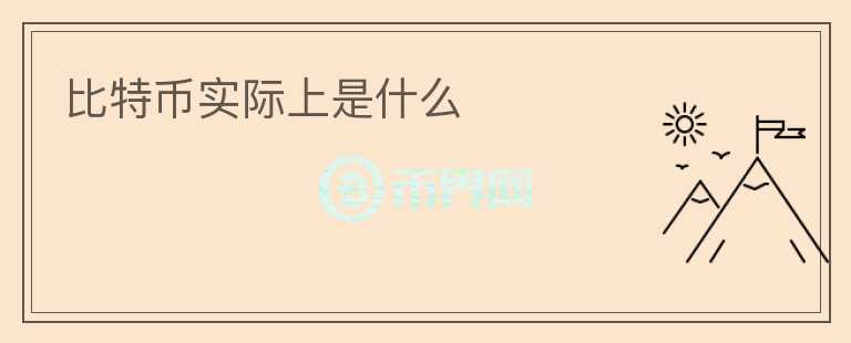 比特币实际上是什么