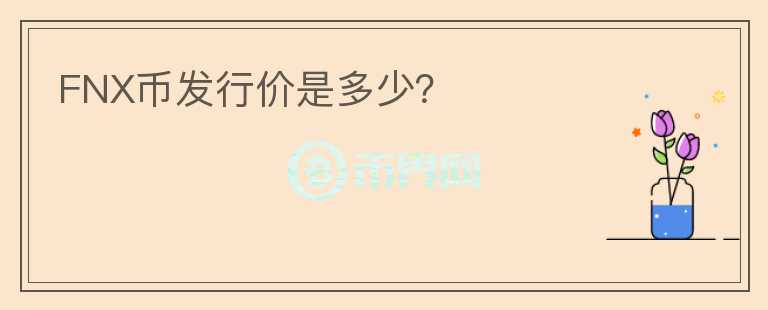 FNX币发行价是多少?