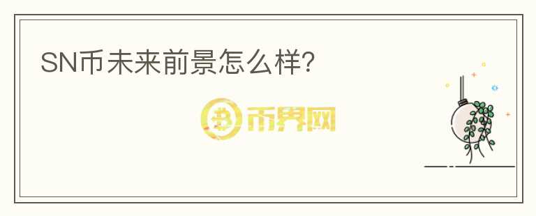 SN币未来前景怎么样？
