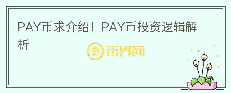PAY币求介绍!PAY币投资逻辑解析
