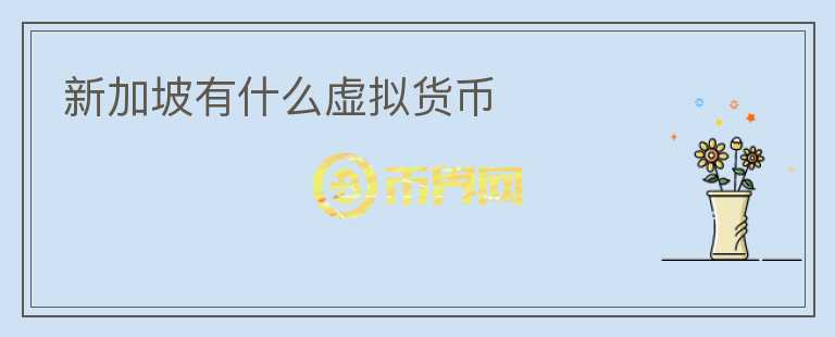 新加坡有什么虚拟货币