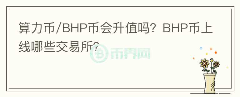 算力币/BHP币会升值吗?BHP币上线哪些交易所?