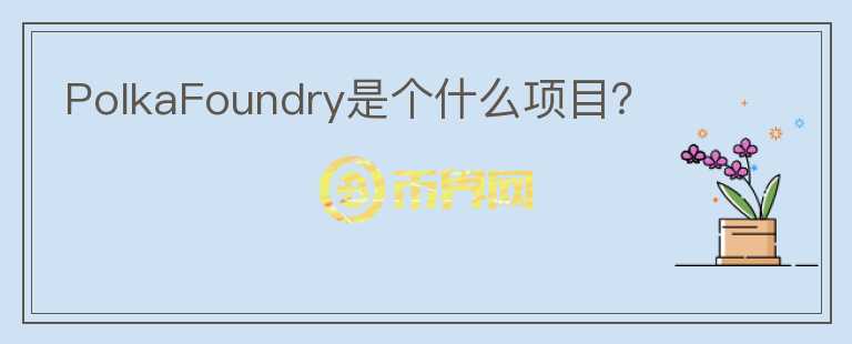 PolkaFoundry是个什么项目？