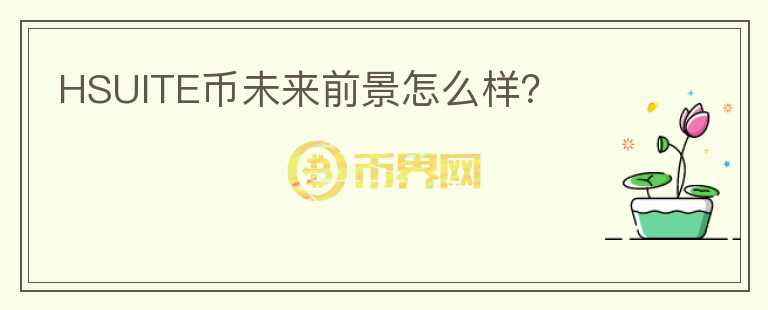 HSUITE币未来前景怎么样？