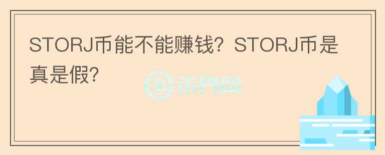STORJ币能不能赚钱？STORJ币是真是假？