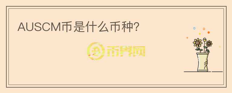 AUSCM币是什么币种？