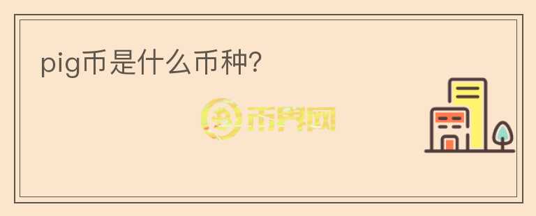 pig币是什么币种？