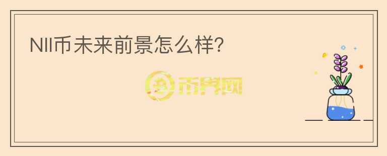 NII币未来前景怎么样？