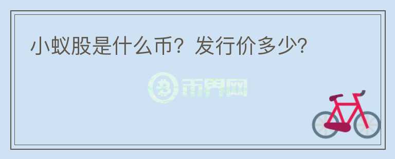 小蚁股是什么币？发行价多少？