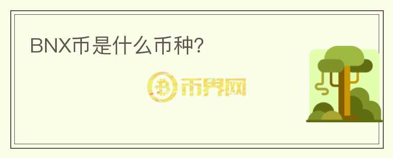 BNX币是什么币种？