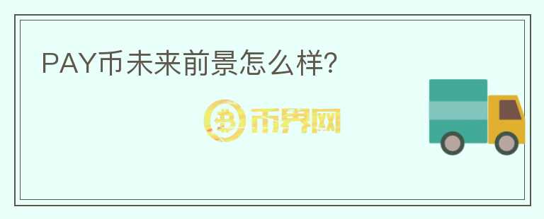 PAY币未来前景怎么样？