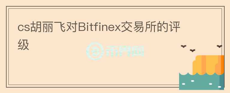 cs胡丽飞对Bitfinex交易所的评级