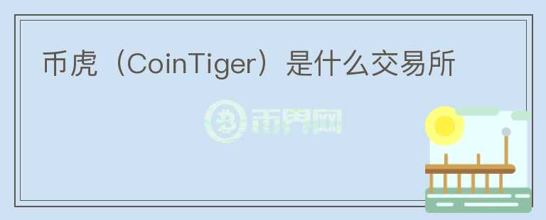 币虎（CoinTiger）是什么交易所