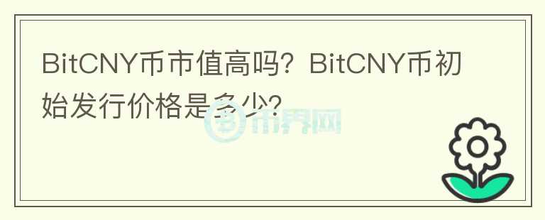 BitCNY币市值高吗？BitCNY币初始发行价格是多少？