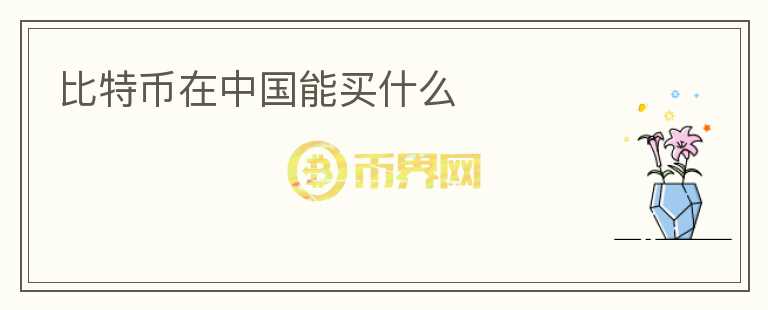 比特币在中国能买什么