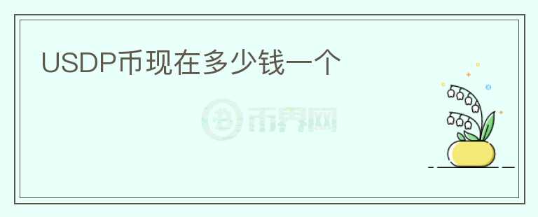 USDP币现在多少钱一个