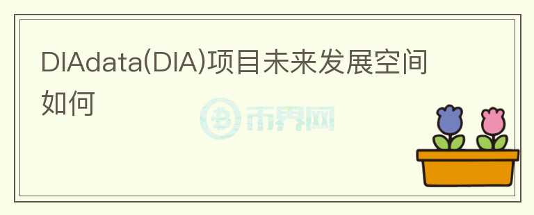 DIAdata(DIA)项目未来发展空间如何