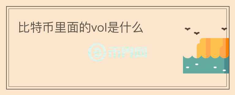 比特币里面的vol是什么