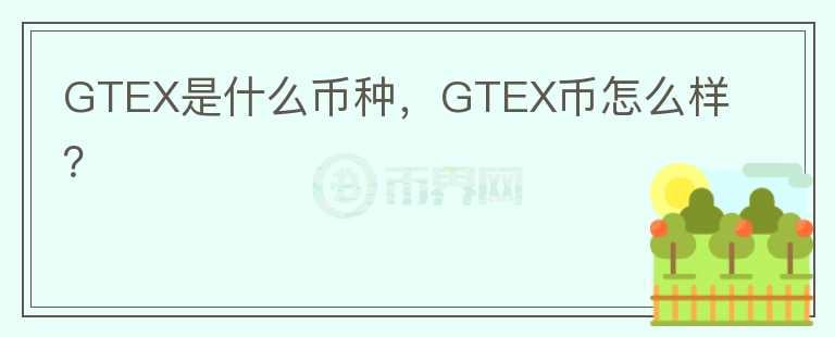 GTEX是什么币种，GTEX币怎么样？