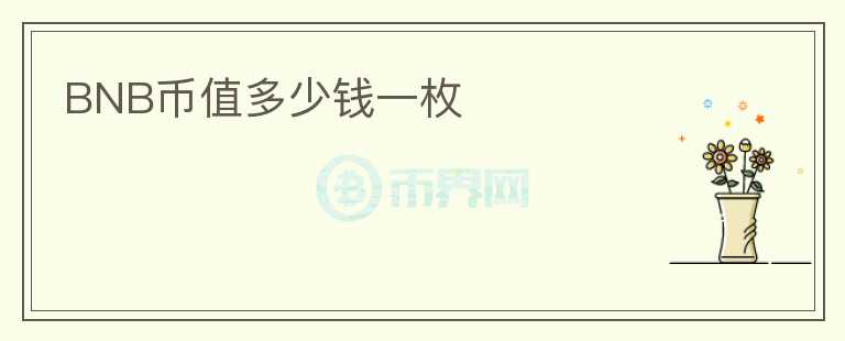 BNB币值多少钱一枚