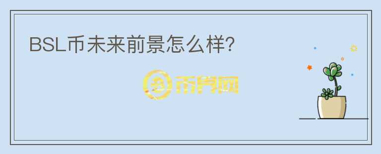 BSL币未来前景怎么样?