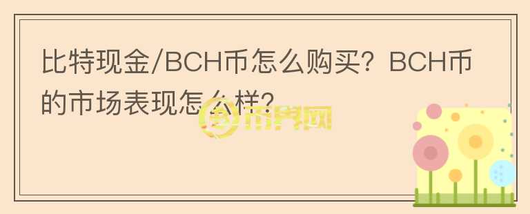 比特现金/BCH币怎么购买？BCH币的市场表现怎么样？