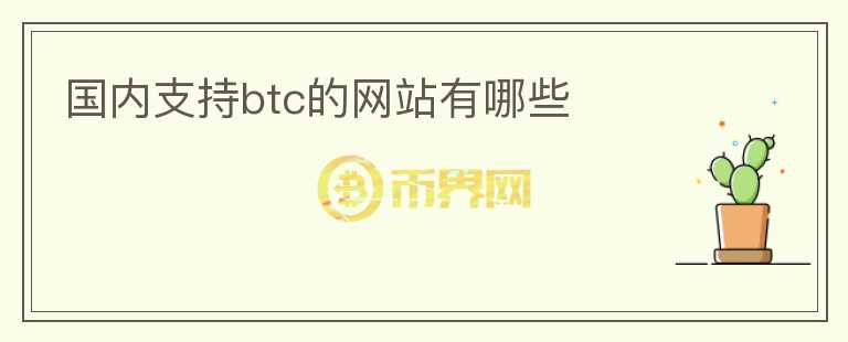 国内支持btc的网站有哪些