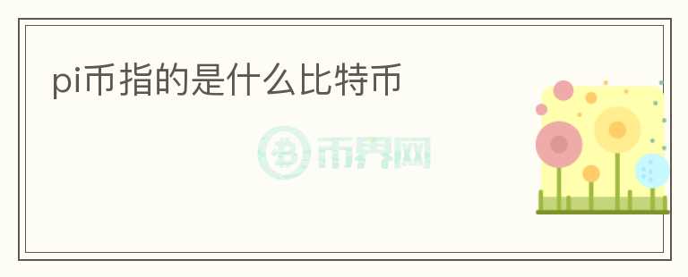 pi币指的是什么比特币