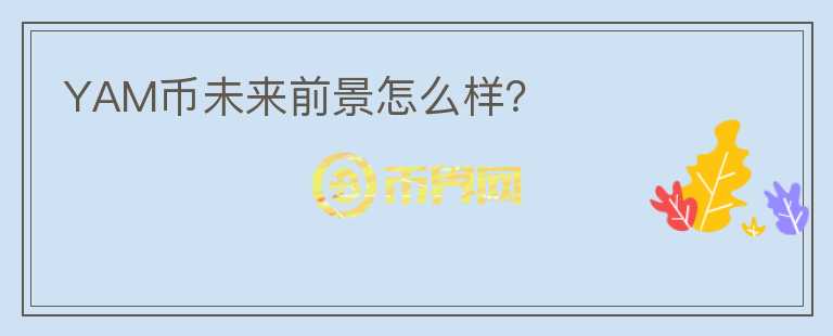 YAM币未来前景怎么样？