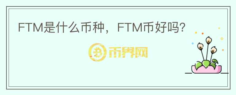 FTM是什么币种，FTM币好吗？
