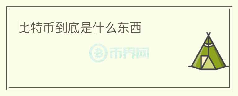 比特币到底是什么东西