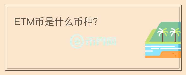 ETM币是什么币种？