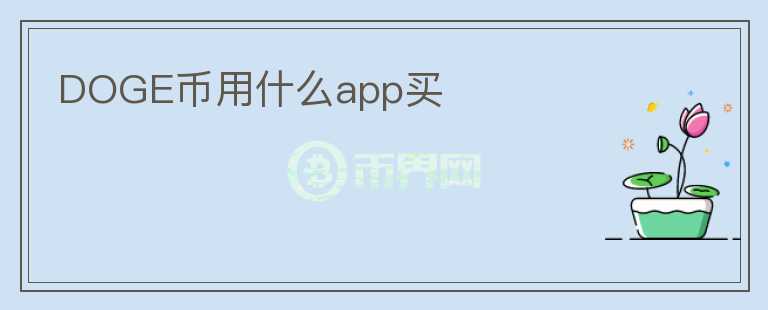 DOGE币用什么app买