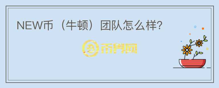 NEW币（牛顿）团队怎么样？