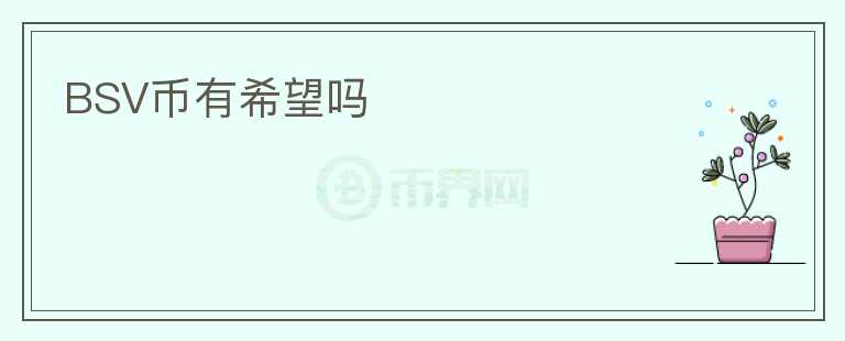 BSV币有希望吗