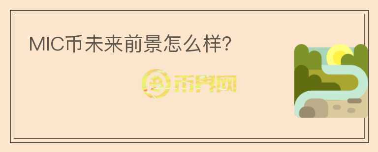 MIC币未来前景怎么样?