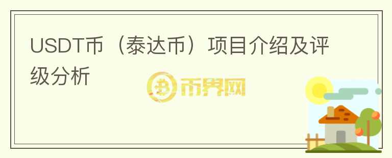 USDT币（泰达币）项目介绍及评级分析