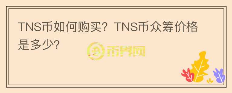 TNS币如何购买?TNS币众筹价格是多少?