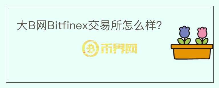 大B网Bitfinex交易所怎么样？