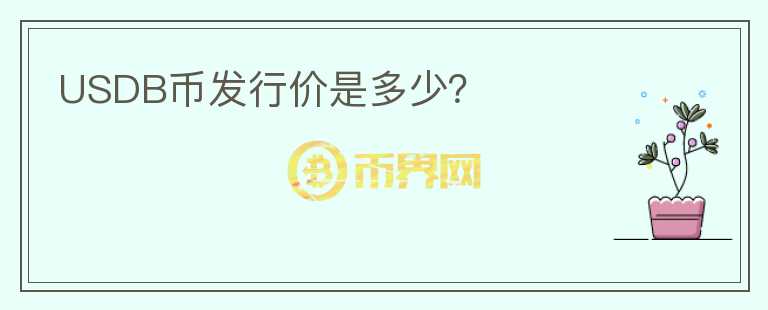 USDB币发行价是多少？